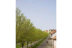 Ferienhaus - Ferienunterkunft in Ballenstedt (2 Personen)