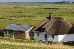 Ferienhaus - Ferienunterkunft in Westerhever (6 Personen)