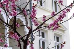 Ferienhaus - Ferienunterkunft in Sellin (6 Personen)