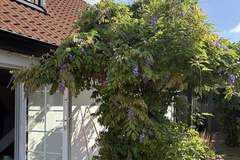 Ferienhaus - Ferienunterkunft in Löderup (8 Personen)