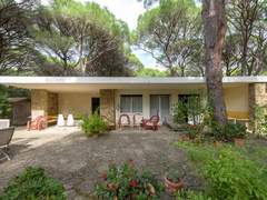 Ferienhaus - Ferienhaus Engel