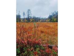 Ferienhaus - Ferienhaus Sallan lumous a