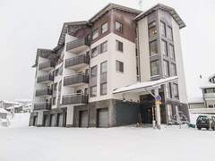 Ferienhaus - Ferienhaus Nordic chalet 8202