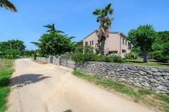 Ferienwohnung - Premium Apartment David - Ferienunterkunft in Dracevac (3 Personen)