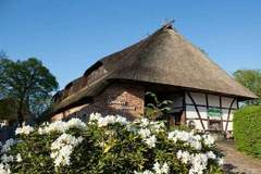 Ferienhaus - Ferienunterkunft in Bastorf (4 Personen)