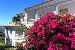 Ferienhaus - Ferienunterkunft in Torrox (4 Personen)