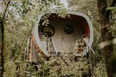 Ferienhaus - Skycabin | 2-4 persoons - Ferienunterkunft in Balkbrug (4 Personen)