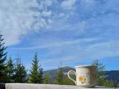 Ferienhaus - Ferienhaus Gemütliche Almhütte direkt im Skigebiet