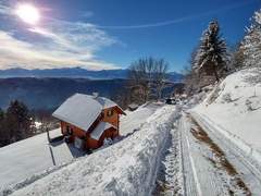 Ferienhaus - Ferienhaus Almchalet Orter in Treffen am Ossiacher See