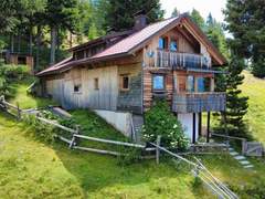 Ferienhaus - Ferienhaus Almhütte Enzian