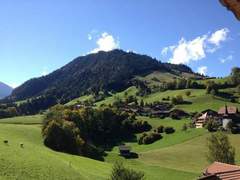 Ferienwohnung - Ferienwohnung Chalet Ried