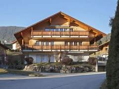 Ferienwohnung - Ferienwohnung Chalet Steinbillen