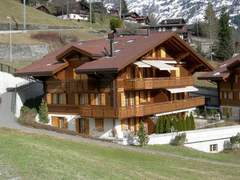 Ferienwohnung - Ferienwohnung Chalet Chamonix