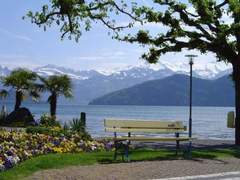 Ferienwohnung - Ferienwohnung Studio Rubi Weggis