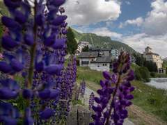 Ferienwohnung - Ferienwohnung Studio Flüm