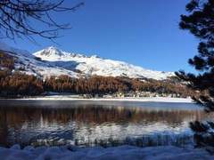 Ferienwohnung - Ferienwohnung Chesa Arnica A5
