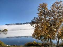 Ferienwohnung - Ferienwohnung Arnica 2 La Punt