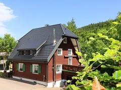 Ferienhaus - Ferienhaus Schwarzwaldhaus St. Blasien, direkt am Bach