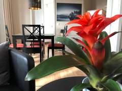 Ferienwohnung - Ferienwohnung Dat Mitteltste 445