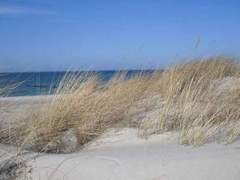 Ferienwohnung - Ferienwohnung 1 Raum Graal-Müritz