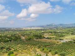 Ferienhaus - Ferienhaus Casita