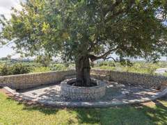 Ferienhaus - Ferienhaus Maribel