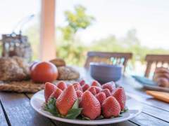 Ferienhaus - Ferienhaus Mariposa