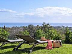 Ferienhaus - Ferienhaus Weingut Punta della Guardia Panorama von Macchia und Meer