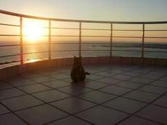 Ferienhaus - Ferienhaus Charly Point Villa