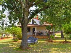 Ferienhaus - Ferienhaus House 2174