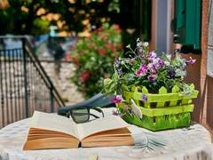 Ferienwohnung - Ferienwohnung Komfort-Apartment mit Balkon BV1