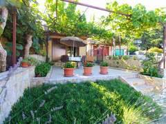 Ferienwohnung - Ferienwohnung Apartment 1462