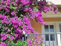 Ferienwohnung - Ferienwohnung mit privater Terrasse