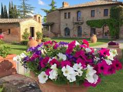 Ferienwohnung - Ferienwohnung Superior 2-Schlafzimmer-Apartment