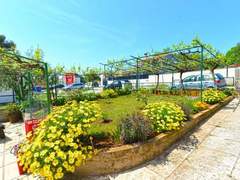 Ferienwohnung - Ferienwohnung Apartment 1779