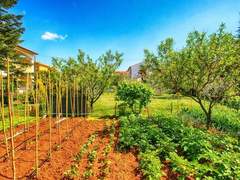 Ferienwohnung - Ferienwohnung Apartment 1334