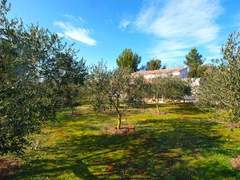 Ferienhaus - Ferienhaus House 1801