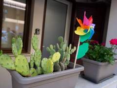 Ferienwohnung - Ferienwohnung piano terra