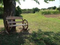 Ferienwohnung - Ferienwohnung Appartement mit Balkon