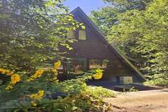 Ferienhaus - Chalet no 80 - Ferienunterkunft in Durbuy (4 Personen)