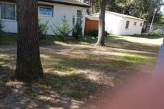 Ferienhaus - Ferienunterkunft in Röbel/Müritz (3 Personen)