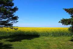 Ferienhaus - Ferienunterkunft in Gingst (4 Personen)