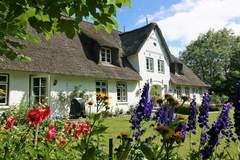 Ferienhaus - Ferienunterkunft in Uelvesbüll (4 Personen)