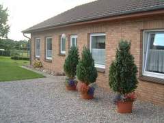 Ferienwohnung - Ferienwohnung Appartement im Ostseebad Schönhagen