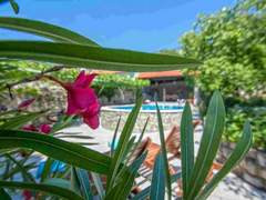 Ferienhaus - Ferienhaus Kruzic kuca / HR-09573-01