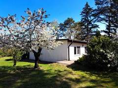 Ferienhaus - Ferienhaus mit Terrasse mitten im Grünen