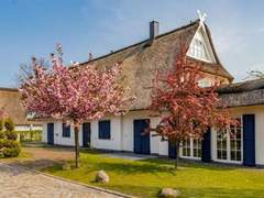 Ferienhaus - Ferienhaus in Groß Schwansee mit Offenem Kamin