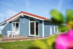 Ferienhaus - Ferienunterkunft in Friedrichskoog (6 Personen)