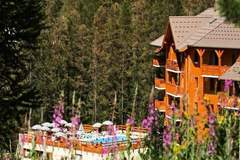 Ferienwohnung - Résidence L'Albane - maeva Home - Ferienunterkunft in Vars (6 Personen)