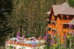 Ferienwohnung - Résidence L'Albane - maeva Home - Ferienunterkunft in Vars (7 Personen)